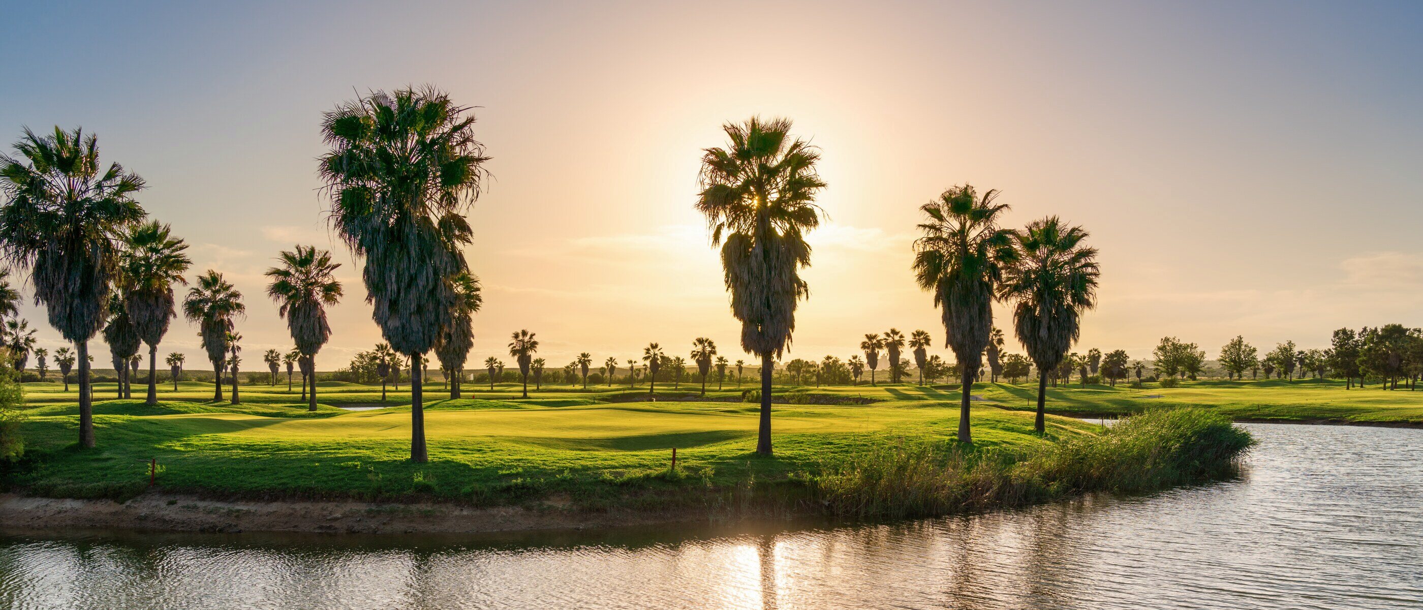 Golf Destinations - Sunset over golf green surrounded by palm trees